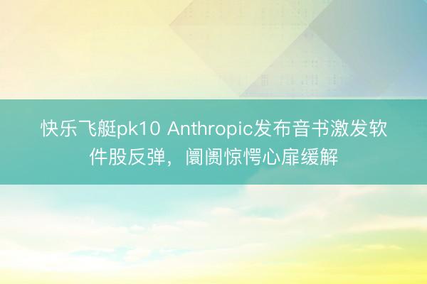 快乐飞艇pk10 Anthropic发布音书激发软件股反弹，阛阓惊愕心扉缓解